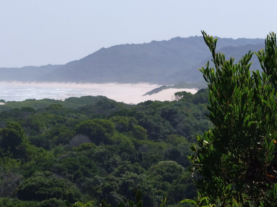 0 Bedroom Property for Sale in Oyster Bay Eastern Cape